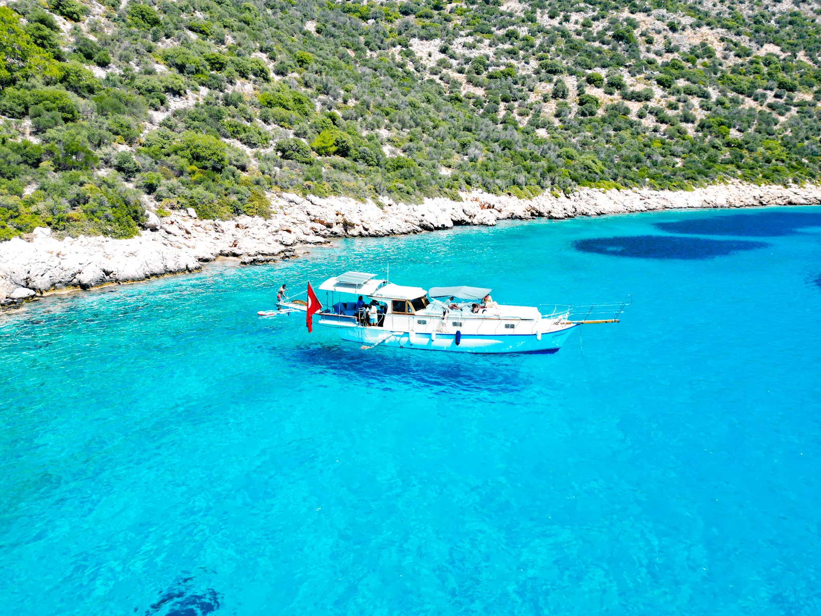 Deniz Yıldızı